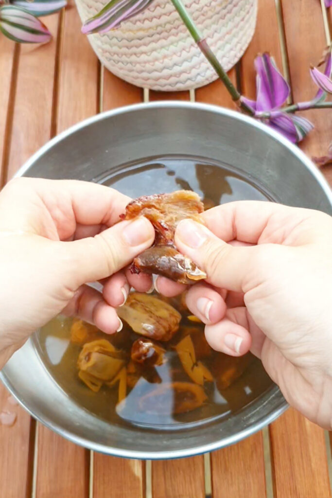 Hands separating a soaked date over a metal bowl filled with water and dates, on a wooden table with a potted plant nearby.